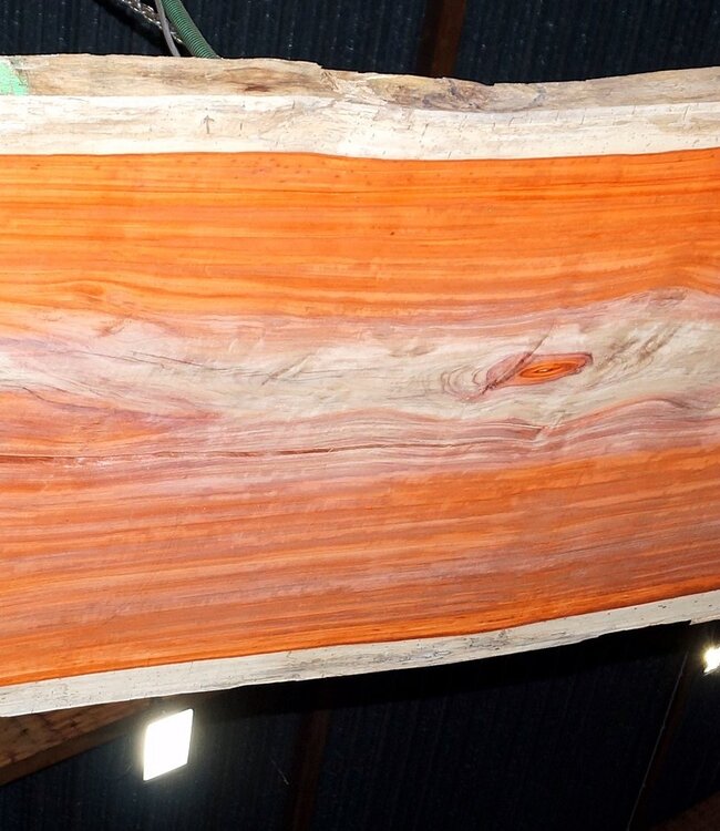 Padouk Table top, approx. 4100 x 1150 x 60 mm, 13420