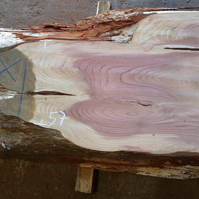 Redwood, Tischplatte, ca. 2800(3700) x 830(1060) x 65 mm, 12905