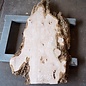 Esche Maser, ca. 1200 x 600/800 x 55 mm, 13185