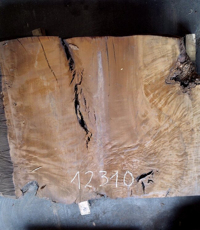 Laurel Burl, table top, approx. 1300 x 890 x 65 mm, 12310