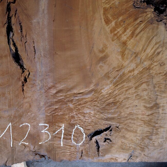 Laurel Burl, table top, approx. 1300 x 890 x 65 mm, 12310