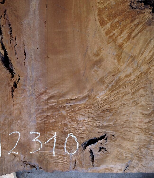 Laurel Burl, table top, approx. 1300 x 890 x 65 mm, 12310