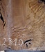 Laurel Burl, table top, approx. 1300 x 890 x 65 mm, 12310