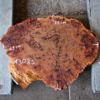Salmon Gum burl, slab, approx. 690 x 530 x 42 mm, 13033