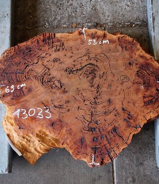 Salmon Gum burl, slab, approx. 690 x 530 x 42 mm, 13033