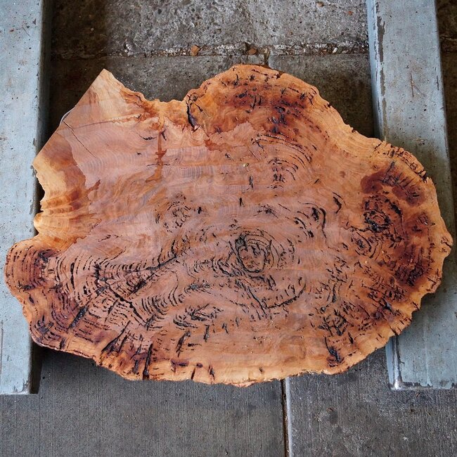 Salmon Gum Maser, Baumscheibe, ca. 690 x 530 x 42 mm, 13033