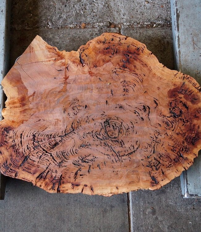 Salmon Gum burl, slab, approx. 690 x 530 x 42 mm, 13033