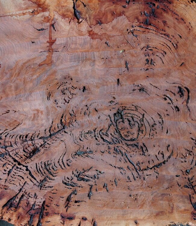 Salmon Gum burl, slab, approx. 690 x 530 x 42 mm, 13033