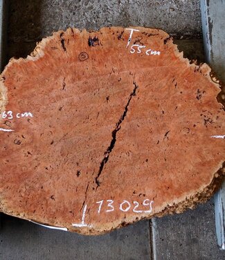 Jarrah burl, slab, approx. 630 x 550 x 42 mm, 13029
