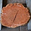 Jarrah Maser, Baumscheibe, ca. 630 x 550 x 42 mm, 13029