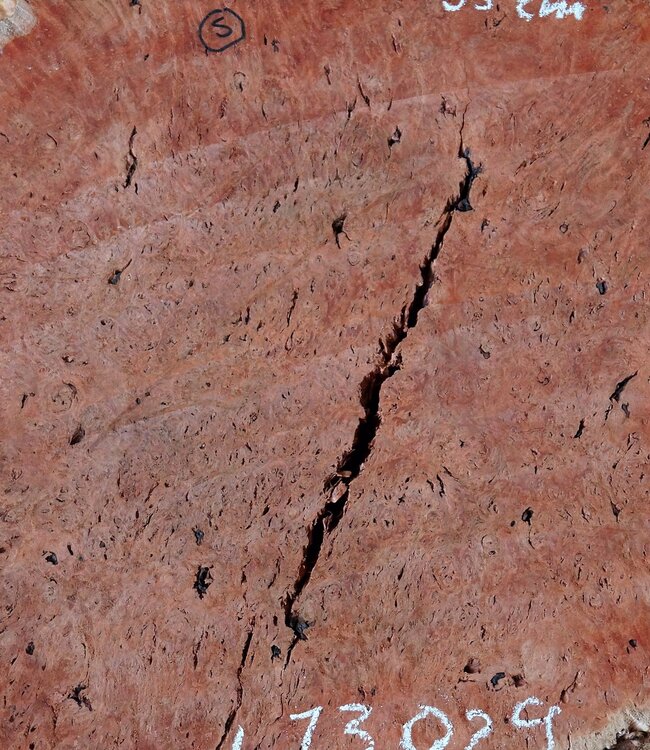 Jarrah burl, slab, approx. 630 x 550 x 42 mm, 13029