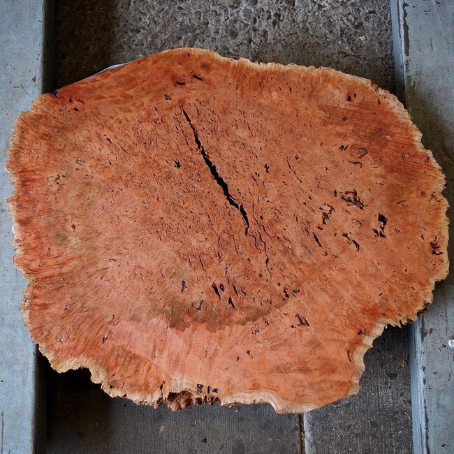 Jarrah Maser, Baumscheibe, ca. 630 x 550 x 42 mm, 13029