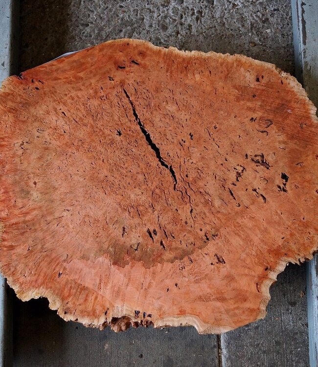 Jarrah burl, slab, approx. 630 x 550 x 42 mm, 13029