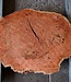 Jarrah burl, slab, approx. 630 x 550 x 42 mm, 13029