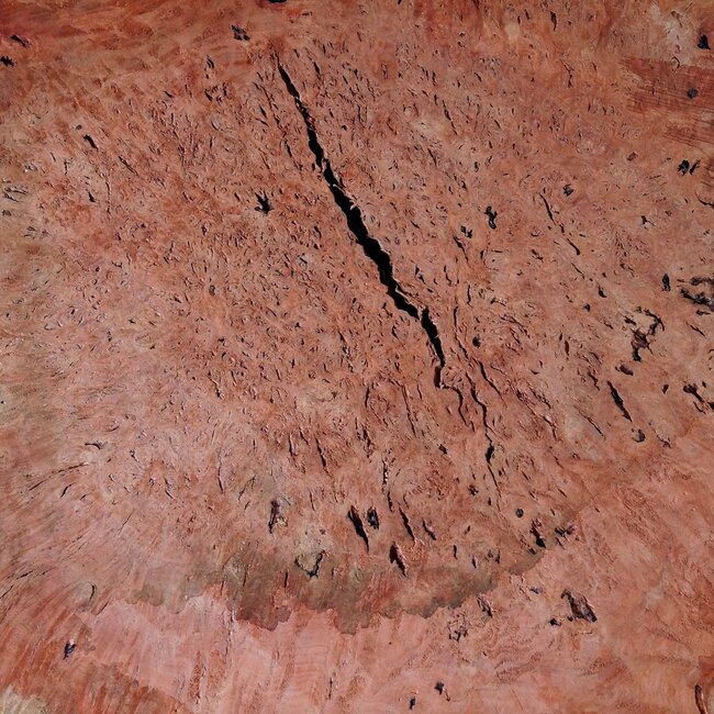 Jarrah Maser, Baumscheibe, ca. 630 x 550 x 42 mm, 13029