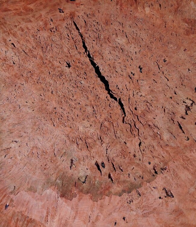 Jarrah burl, slab, approx. 630 x 550 x 42 mm, 13029