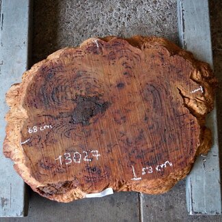 Salmon Gum Maser, Baumscheibe, ca. 680 x 530 x 55 mm, 13027