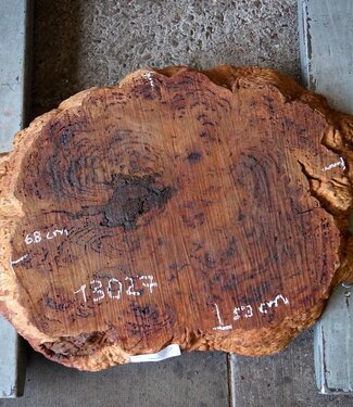 Salmon Gum burl, slab, approx. 680 x 530 x 55 mm, 13027