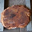 Salmon Gum Maser, Baumscheibe, ca. 680 x 530 x 55 mm, 13027