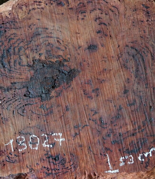 Salmon Gum burl, slab, approx. 680 x 530 x 55 mm, 13027