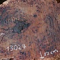 Salmon Gum burl, slab, approx. 680 x 530 x 55 mm, 13027