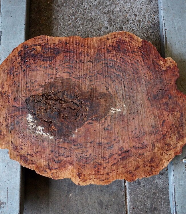 Salmon Gum burl, slab, approx. 680 x 530 x 55 mm, 13027
