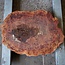 Salmon Gum burl, slab, approx. 680 x 530 x 55 mm, 13027