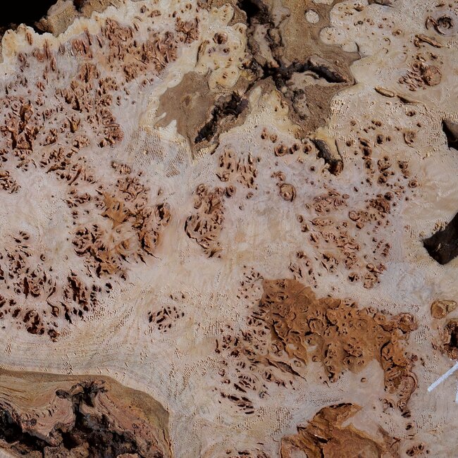 Grisard, tabletop, approx. 1200 x 960/780 x 55mm, 30kg