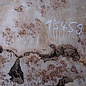 Grisard, Silberpappel, Tischplatte, ca. 1570 x 550 x 55mm, 31kg