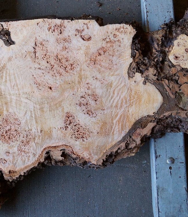 Grisard, tabletop, approx. 1570 x 550 x 55mm, 31kg