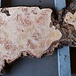 Grisard, Silberpappel, Tischplatte, ca. 1570 x 550 x 55mm, 31kg