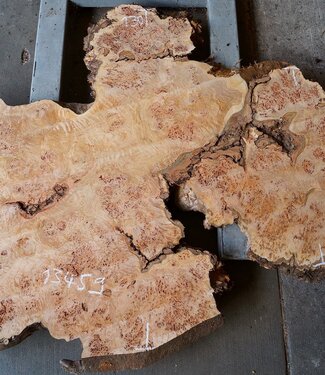 Grisard, Silberpappel, Tischplatte, ca. 1930 x 1300/870/750 x 55mm, 13459