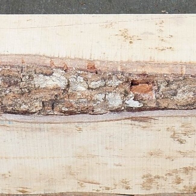 Pink Ivory, approx. 730 x 160 x 70 mm