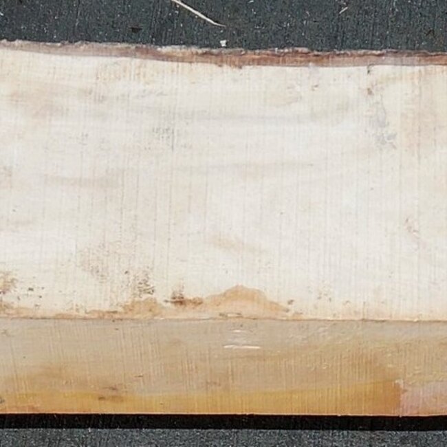 Pink Ivory, ca. 800 x 120 x 80 mm