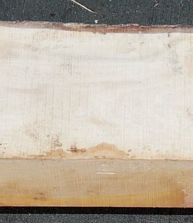 Pink Ivory, ca. 800 x 120 x 80 mm