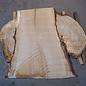 Oak table top, approx. 1250 x 1500/990/690 x 52 mm, 13461