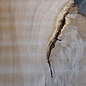 Oak table top, approx. 1290 x 1720/1100/780 x 52 mm, 13463
