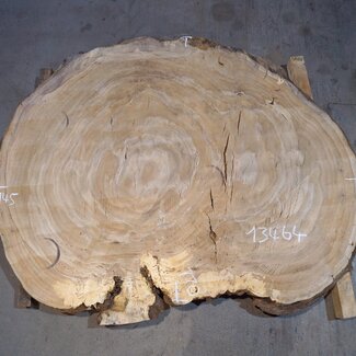 Oak table top, approx. 1450 x 1100 x 52 mm, 13464