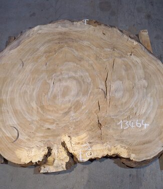 Oak table top, approx. 1450 x 1100 x 52 mm, 13464