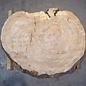Oak table top, approx. 1450 x 1100 x 52 mm, 13464
