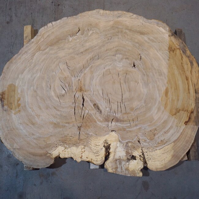 Oak table top, approx. 1450 x 1100 x 52 mm, 13464