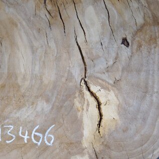 Oak table top, approx. 1330 x 1030 x 52 mm, 13466