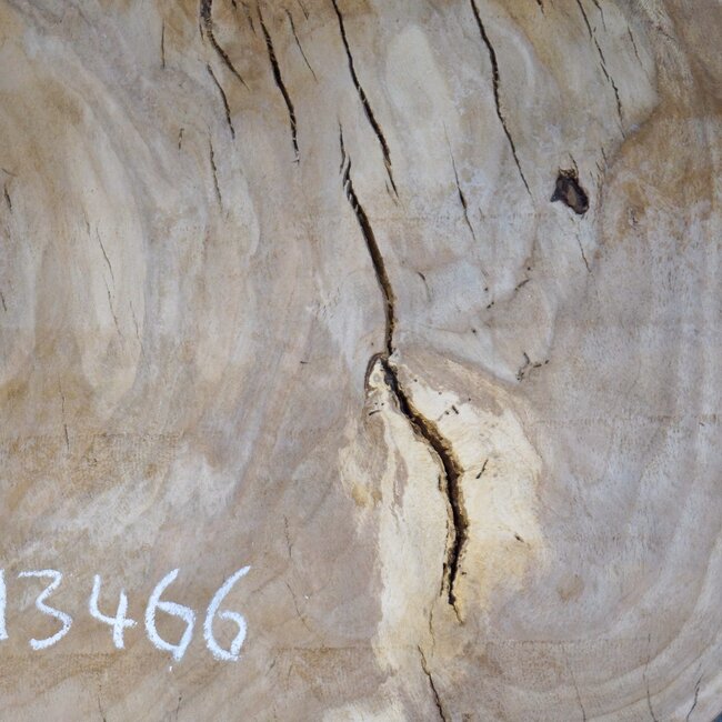 Eiche Tischplatte, ca. 1330 x 1030 x 52 mm, 13466