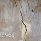 Oak table top, approx. 1330 x 1030 x 52 mm, 13466