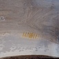 European Walnut, approx. 1030 x 570/510/440 x 52 mm, 13493