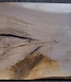 European Walnut, approx. 1030 x 580/570/500 x 52 mm, 13494