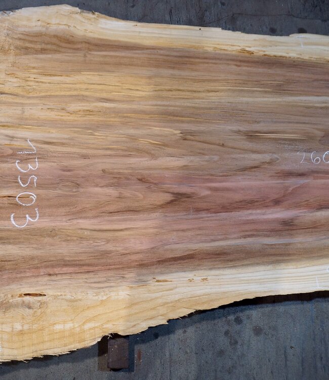 Redwood Tischplatte, ca. 2600 x 1230/900/630 x 65 mm, 13503
