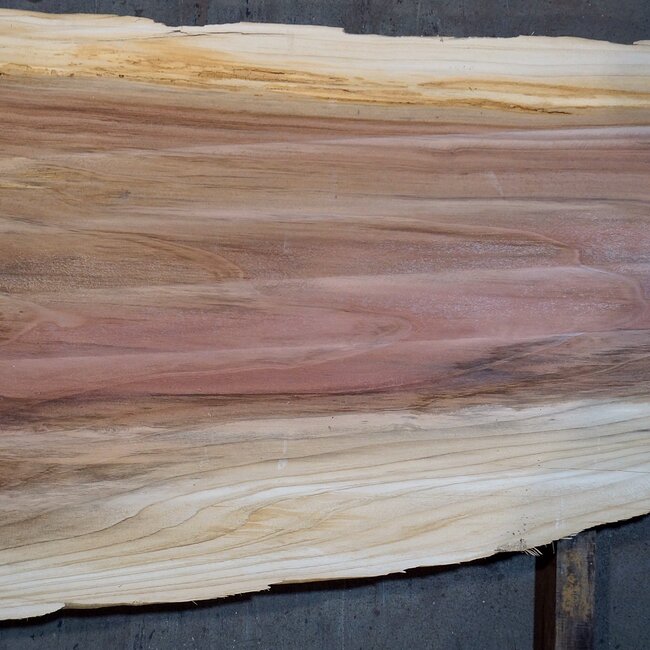 Redwood table top, approx. 2600 x 1230/900/630 x 65 mm, 13503