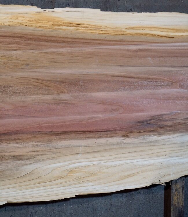 Redwood table top, approx. 2600 x 1230/900/630 x 65 mm, 13503