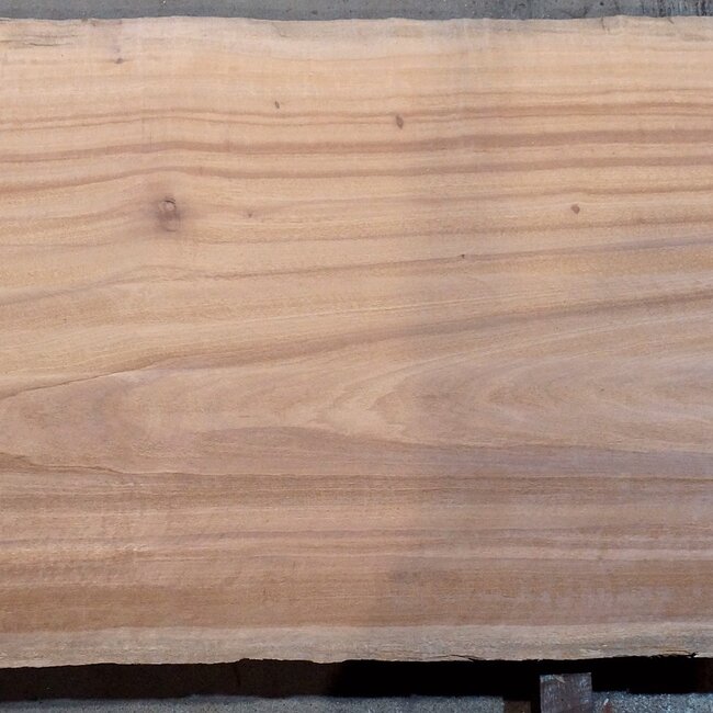 Moabi bunt, Tischplatte, ca. 4150 x 910/930/930 x 45 mm, 13507